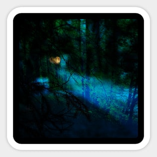 Walk through the forest at night Sticker